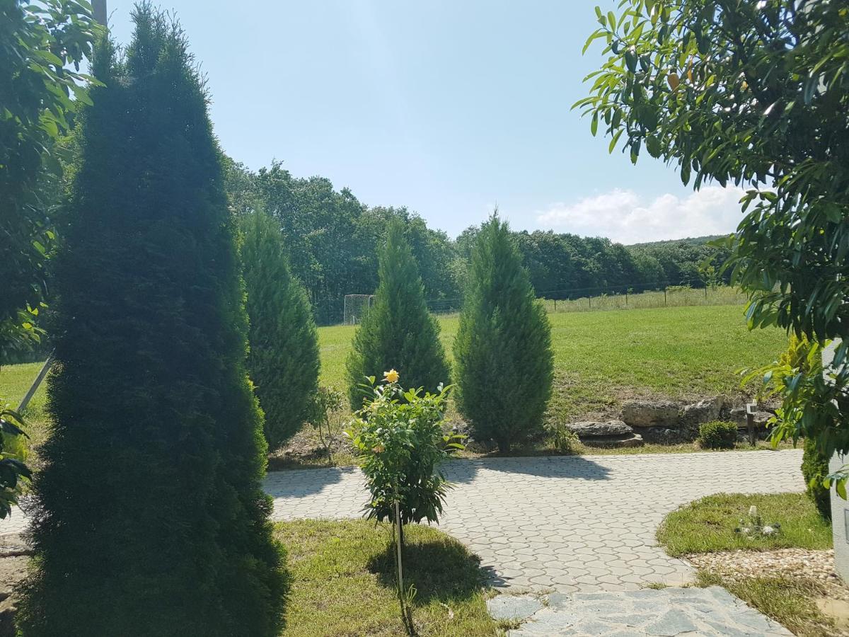 Zlaten Briz Villa Osenovo Экстерьер фото